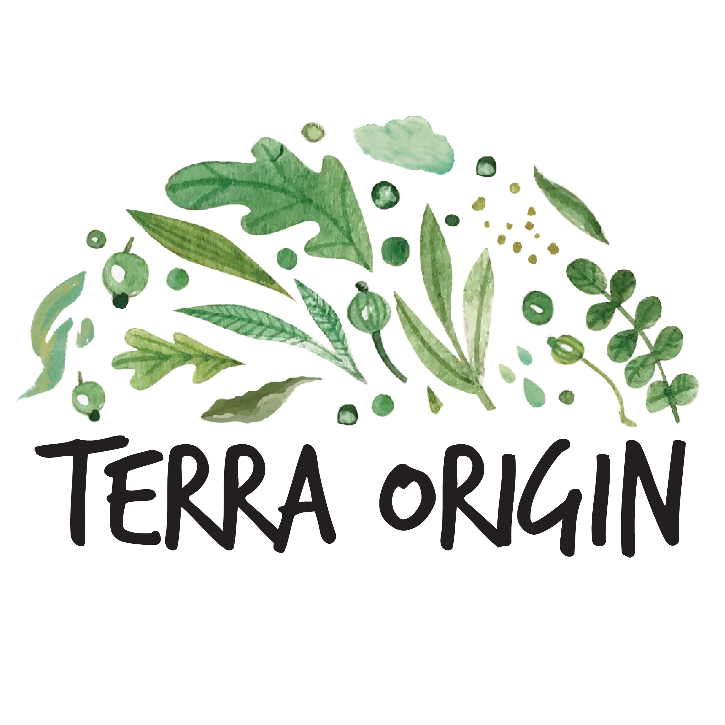 Terra Origin